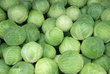 Cabbage