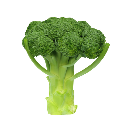 Broccoli