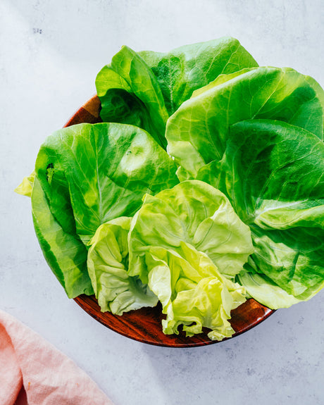 Lettuce: Butter