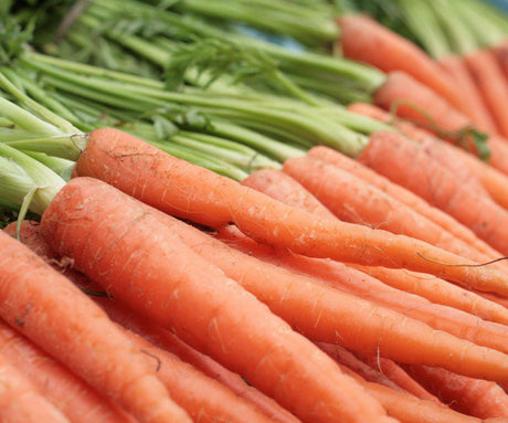 Carrots