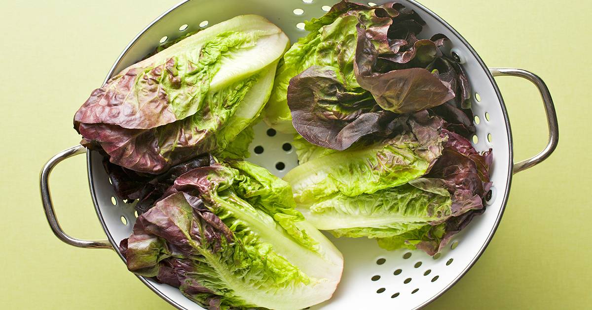 Lettuce: Red Leaf