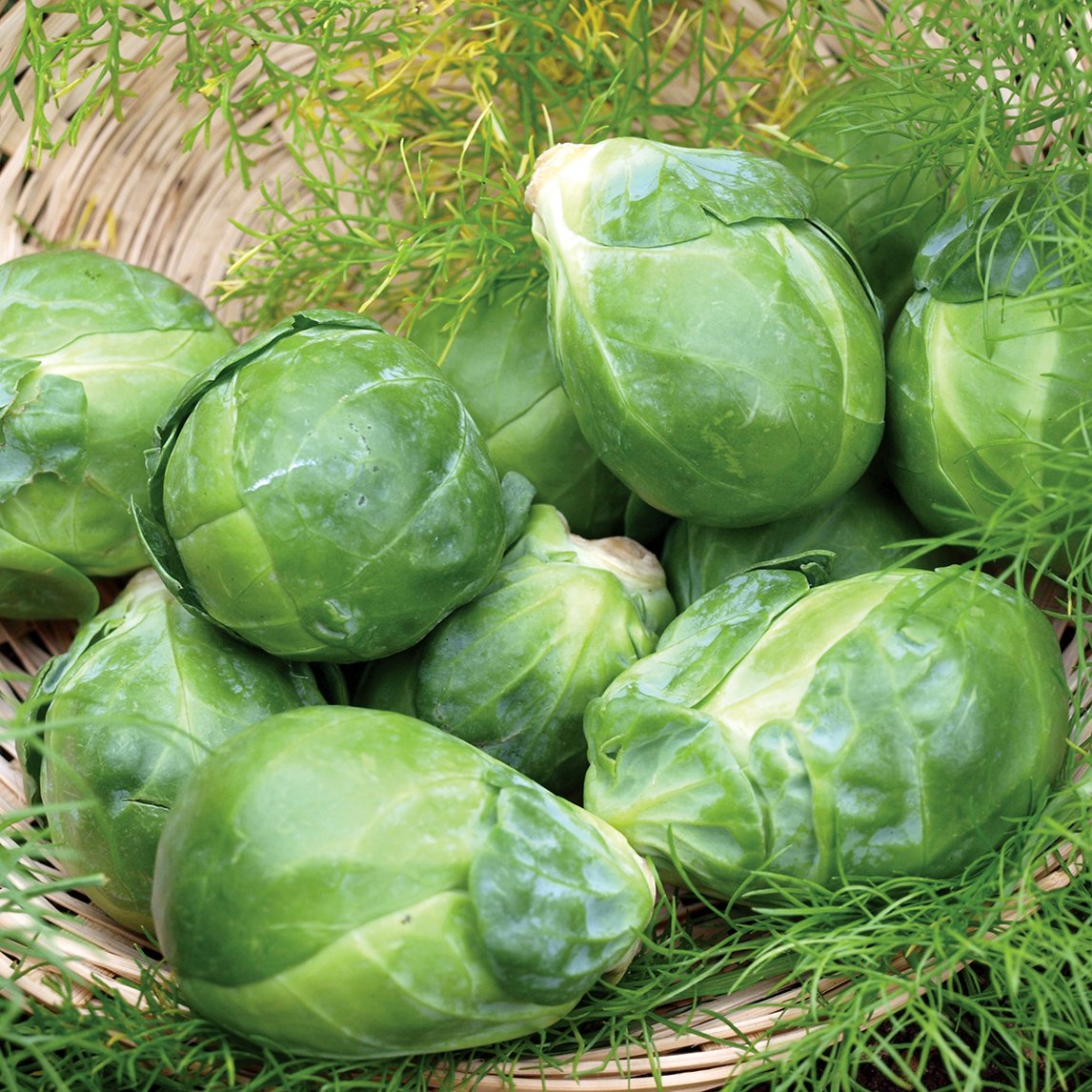 Brussel Sprouts